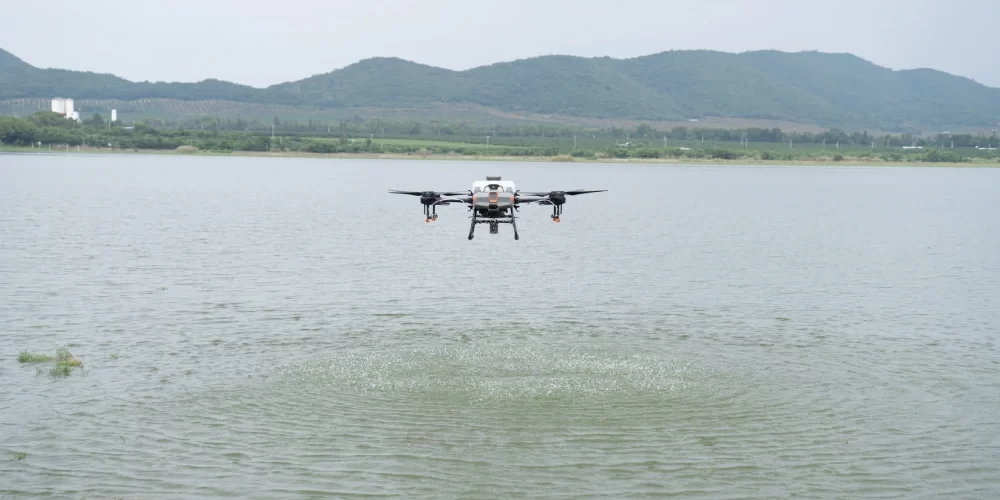 drone-agricultura